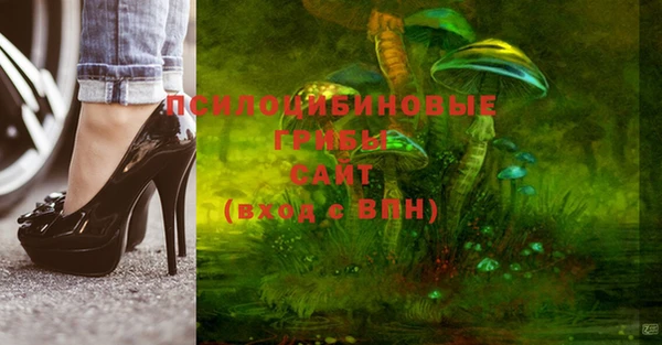 экстази Белокуриха