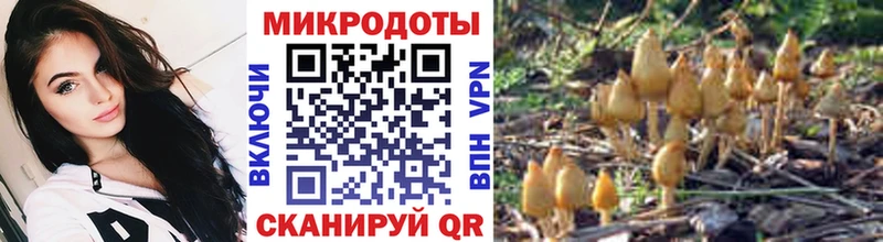 Псилоцибиновые грибы прущие грибы  кракен   Шилка 