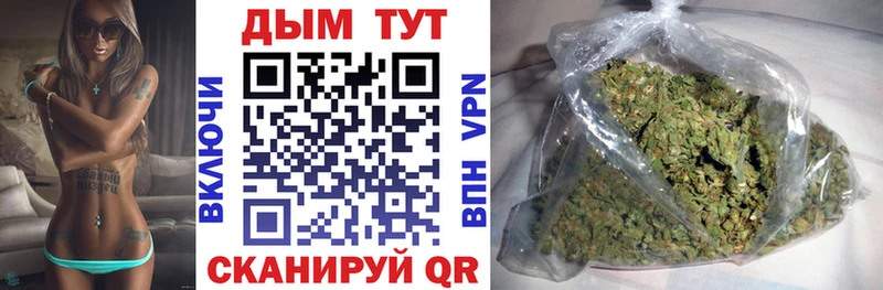 купить  цена  Шилка  Каннабис гибрид 